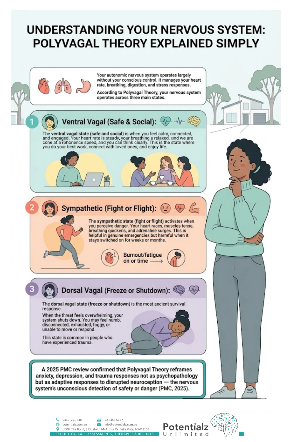 Understanding Your Nervous System: A simple explanation of Polyvagal Theory breaks down how the autonomic nervous system operates through three main states—Ventral Vagal (safe and social), Sympathetic (fight or flight), and Dorsal Vagal (freeze or shutdown). This infographic highlights how each state impacts your body and mind, while a 2025 PMC review emphasizes its role in reframing anxiety, depression, and trauma responses.