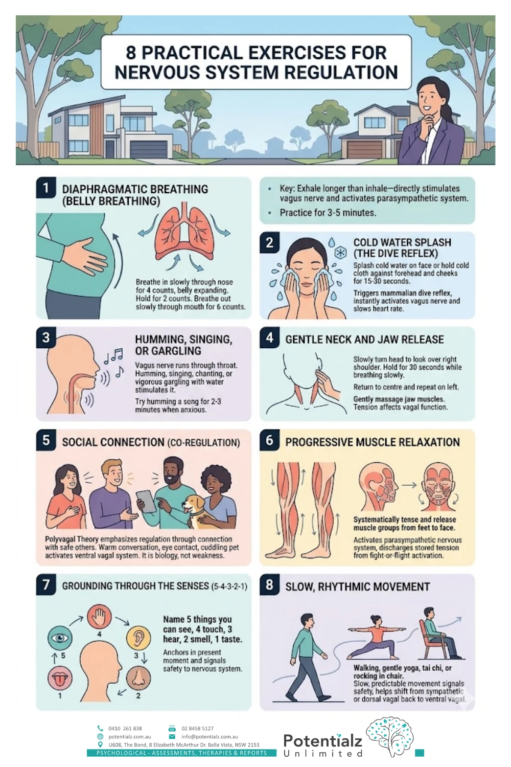 Guide to Nervous System Balance: Explore eight exercises, from belly breathing to rhythmic movement, designed to regulate your nervous system and promote relaxation.
