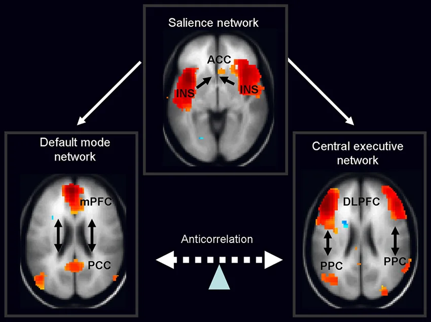 DMN, SN and CEN depicted